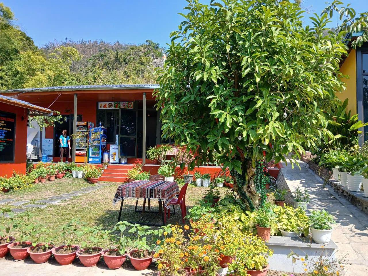 Catba Papillon Garden Bungalows & Resort Hien Hao Esterno foto