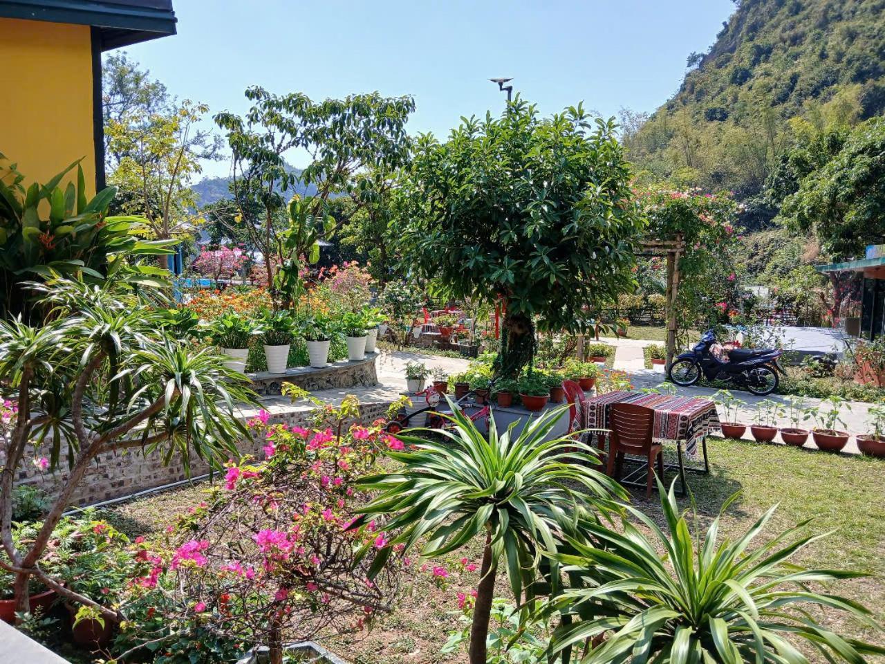 Catba Papillon Garden Bungalows & Resort Hien Hao Esterno foto