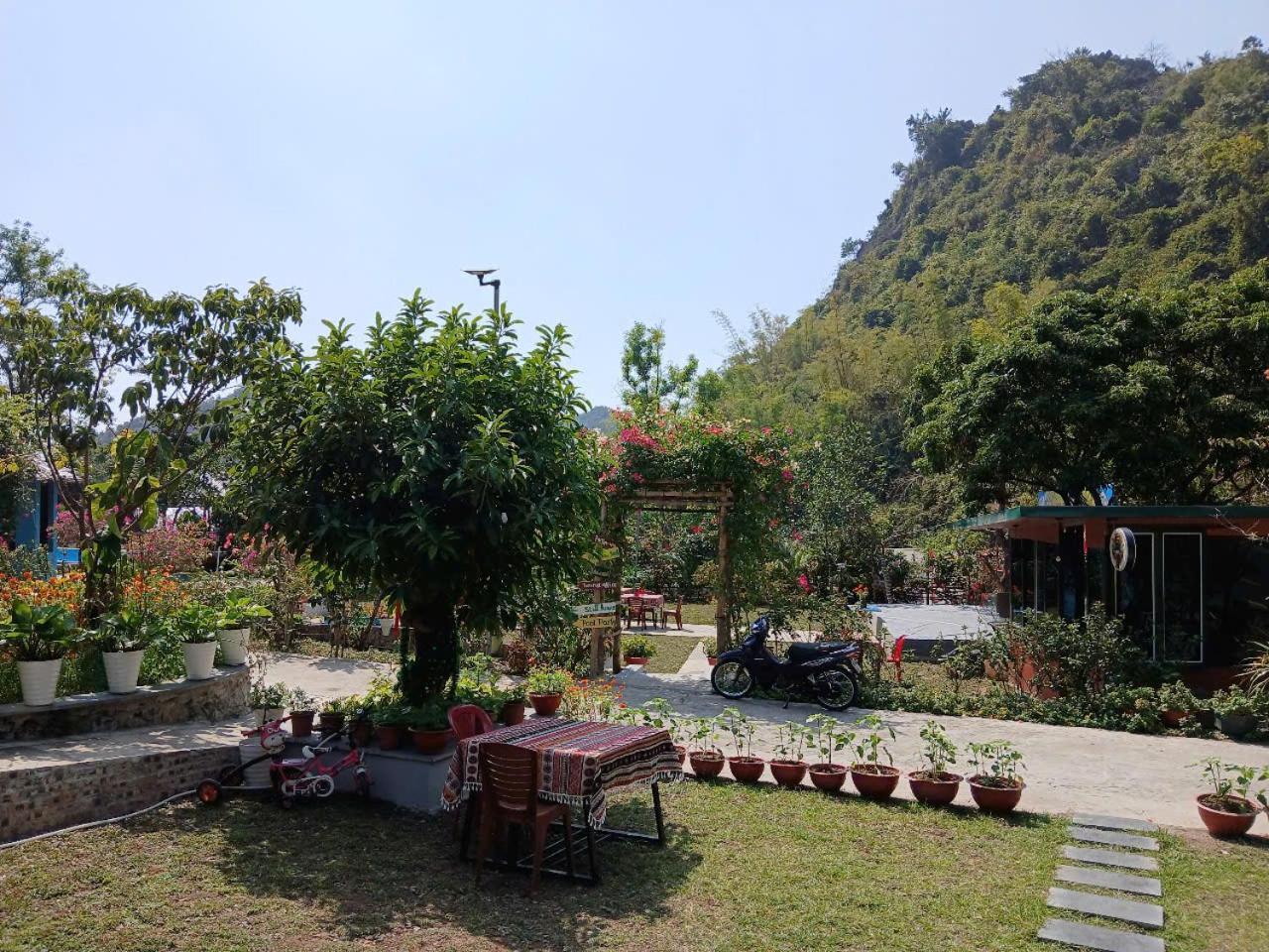 Catba Papillon Garden Bungalows & Resort Hien Hao Esterno foto
